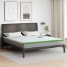 Surmatelas Blanc et vert 180 x 200 cm Tissu Jacquard 581849581849