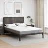 Surmatelas en mousse à mémoire for Adulte Doux 160 x 200 cm 581884581884