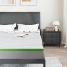 Surmatelas Blanc et vert 160 x 200 cm Tissu Jacquard 581910581910
