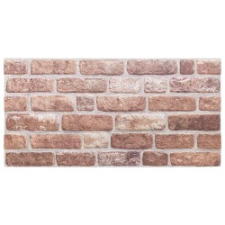 Panneaux muraux 10 pcs Marron 100 x 50 cm Mousse EPS 582216582216