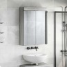 Amoire de salle de bain avec miroir TULUM Gris Sonoma 582661582661