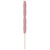 Tête de lit Rose 90 cm Velours 582708582708