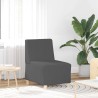Unité de Sofa Modulaire Sans Accoudoirs 2 pcs Gris foncé 582716582716
