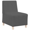 Unité de Sofa Modulaire Sans Accoudoirs 2 pcs Gris foncé 582716582716