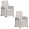 Chaise de jardin inclinable imitant le rotin 2 pcs Blanc PP 582810582810