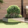 Bordure de Pelouse 100 x 60 x 35 cm Acier Argenté 582874582874