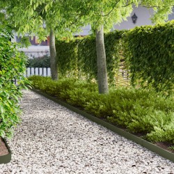 Bordure de Pelouse 30 pcs 103 x 10 cm Acier Vert olive 582876582876