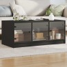 Table basse avec portes en verre noir 102x50x42 cm 583038583038