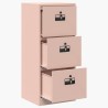 Cabinet de Dossier avec tiroir Rose 45,5 x 42 x 106,5 cm 583185583185