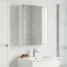 Armoire Miroir de Salle de Bain Blanc 53,5 x 15,5 x 70 cm 583477583477