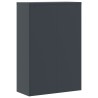 Classeur anthracite 90x40x140 cm acier 583505583505