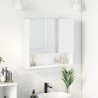 Armoire Miroir Blanc 59 x 17 x 55 cm Bois d'ingénierie 583657583657