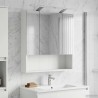 Armoire Miroir de Salle de Bain Blanc 60 x 14.5 x 70 cm 583660583660