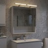 Armoire Miroir de Salle de Bain Blanc 60 x 14.5 x 70 cm 583660583660