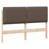 Tête de lit capitonnée Gris Naturel et Clair 160 cm Pin massif 583665583665