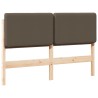 Tête de lit capitonnée Marron et Taupe 160 cm Pin massif 583756583756