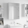 Armoire Miroir de Salle de Bain Blanc 43 x 16 x 62.5 cm 583775583775