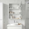 Armoire Miroir de Salle de Bain Blanc 43 x 16 x 62.5 cm 583775583775