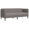 Ensemble de canapés 2 pcs taupe tissu 583814583814