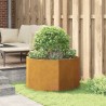 Jardinière Rouillé 90 x 90 x 50 cm 583862583862