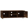 Meuble TV Chêne fumé 120x40,5x35 cm Bois d'ingénierie 584038584038
