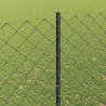 Clôture grillagée avec poteau 10 x 1,6 m Acier recouvert de PVC 584221584221