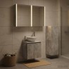 Ensemble de mobilier de salle de bain 4 pcs Gris béton 584242584242