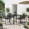 Ensemble de salle à manger pour jardin 5 pcs Noir polyrotin 613805613805