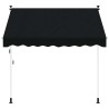 Auvent rétractable manuel Noir 100 cm 613892613892