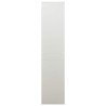 Armoire de bureau Gris clair 90x40x180 cm Acier 613937613937