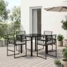 Ensemble de salle à manger pour jardin 5 pcs Noir polyrotin 614035614035