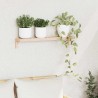 Étagère murale suspendue Naturel 62 x 10 x 12,5 cm 614133614133