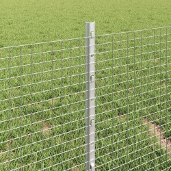 Clôture en fil soudé avec poteaux 25 x 0,4 m Acier galvanisé 614156614156