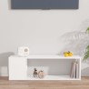 Meuble TV Blanc 100x24x32 cm Bois d'ingénierie 614158614158