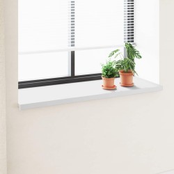 Appui de fenêtre Blanc 160 x 50 x 4,5 cm PVC 614225614225