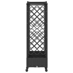 Lit Élevé avec Treillis et Toit Noir 207 x 40 x 129 cm PP 614438614438