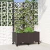 Bac de jardin avec treillis et roues Marron 80 x 40 x 146 cm PP 614598614598