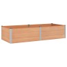 Jardinière surélevée Marron 250 x 100 x 54 cm 614712614712