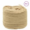 Corde de bateau 50 m 0.3 Naturel PP 614800614800