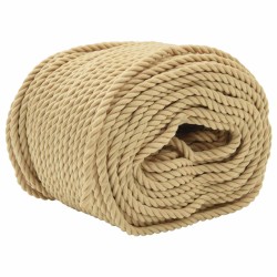 Corde de bateau 50 m 0.3 Naturel PP 614800614800