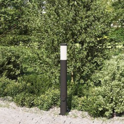 Borne lumineuse avec sortie 80 cm en acier inoxydable IP44 614930614930