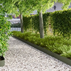Bordure de Pelouse 30 pcs 100 x 20 cm Acier Vert olive 615019615019