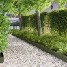 Bordure de Pelouse 30 pcs 103 x 15 cm Acier Vert olive 615045615045