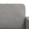 Ensemble de Canapés 2 pcs Gris clair 228 x 78 x 80 cm Velours 615336615336