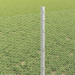 Clôture hexagonale avec poteau 10 x 0,6 m Acier galvanisé 615722615722