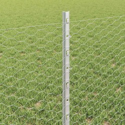 Clôture hexagonale avec poteau 10 x 0,6 m Acier galvanisé 615731615731