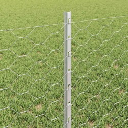 Clôture hexagonale avec poteau 10 x 0,6 m Acier galvanisé 615732615732