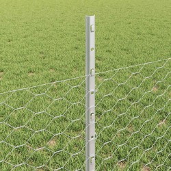 Clôture hexagonale avec poteau 10 x 0,5 m Acier galvanisé 615748615748