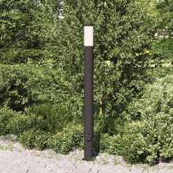 Borne lumineuse avec sortie 110 cm en acier inoxydable IP44 616009616009