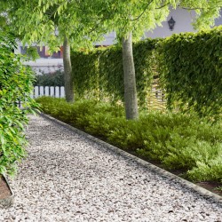 Bordure de Pelouse 50 pcs 103 x 10 cm Acier Argenté 616051616051